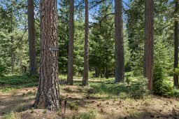 Wildflower · Custom Mountain Home · Hot Tub · 2.5 Acres · EV Charger