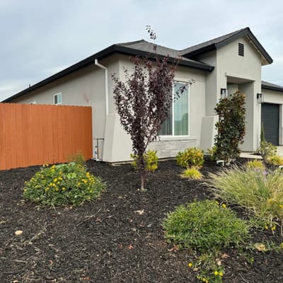 Enrique · Brand New 4BR · Single Story · Park Across the Street