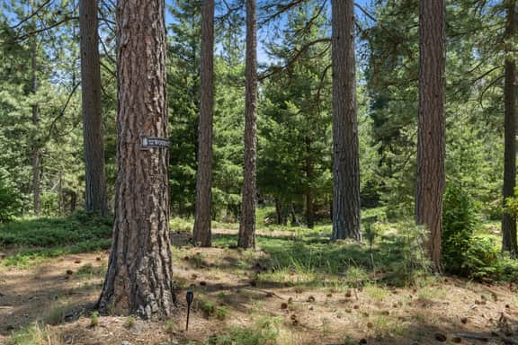 Wildflower · Custom Mountain Home · Hot Tub · 2.5 Acres · EV Charger