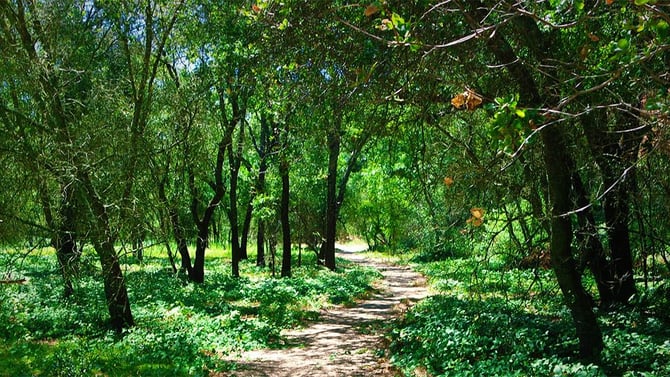 Miner's Ravine Trail